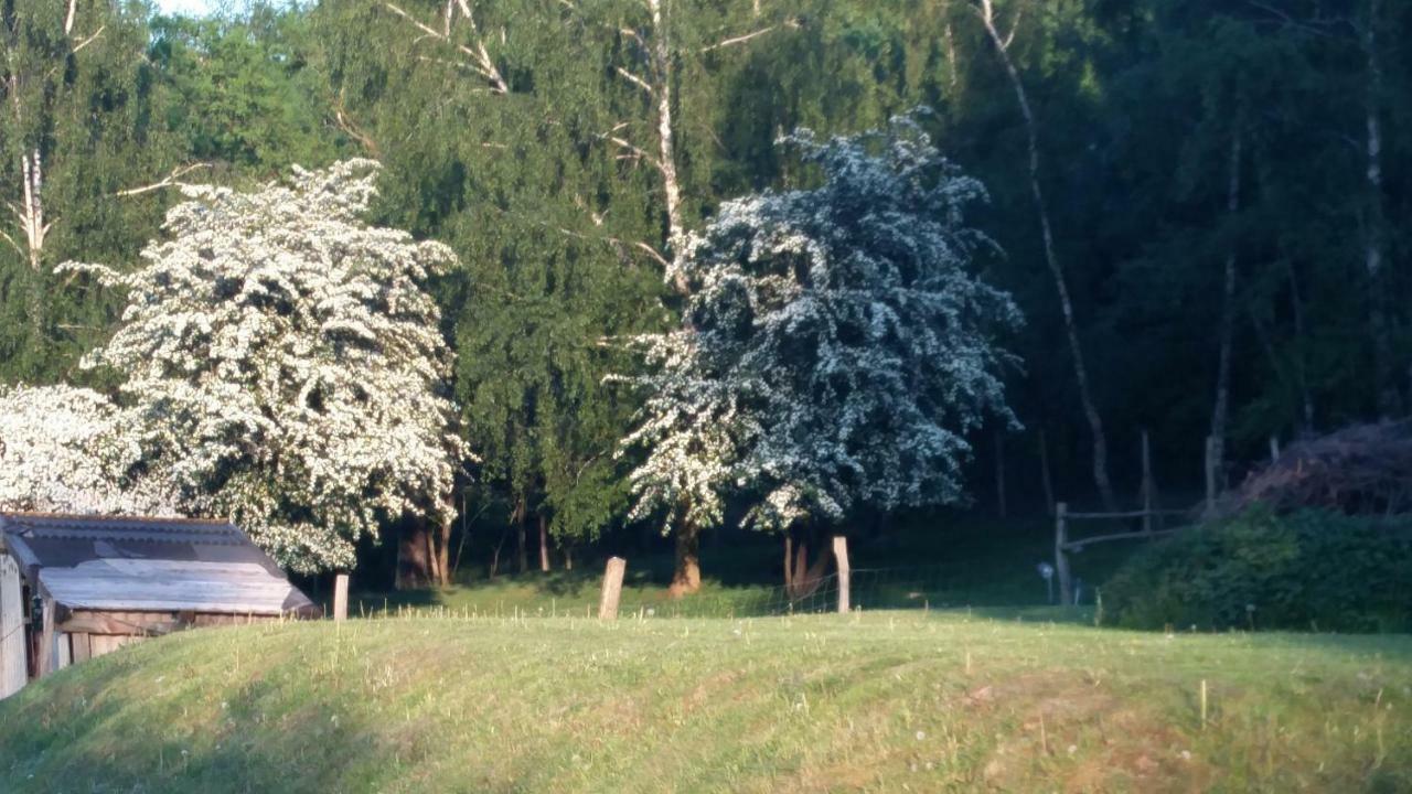 Zimmervermietung Am Holzberg Thallwitz Экстерьер фото